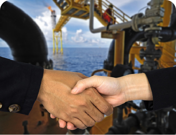 Professional service provider